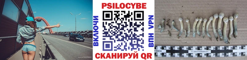 сайты даркнета состав  как найти наркотики  Павлово  Галлюциногенные грибы Cubensis 