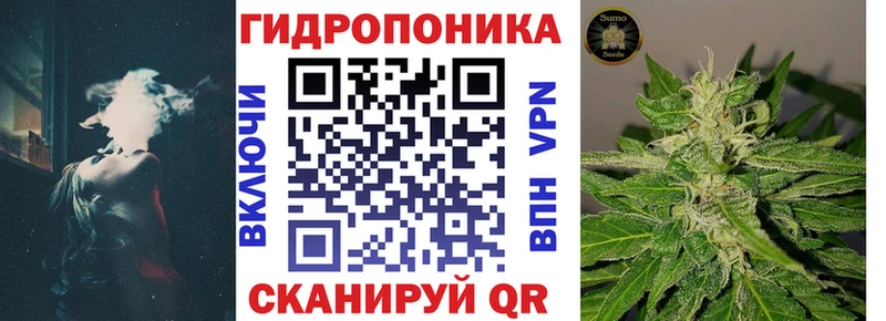 закладки  Павлово  Бошки Шишки марихуана 